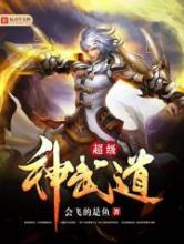 超级神武道小说