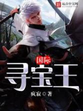 国际寻宝王小说