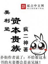 美利坚资本贵族小说