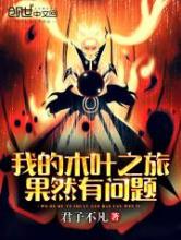 我的木叶之旅果然有问题小说