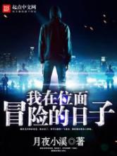 我在位面冒险的日子小说