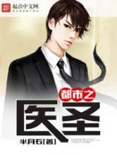都市之医圣小说