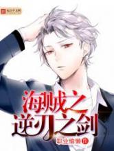 海贼之逆刃之剑小说