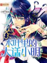 木叶里的大话小明小说