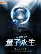 无限之量子永生小说
