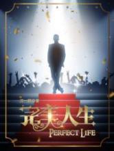 完美人生小说