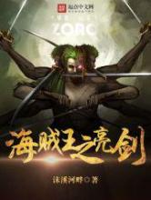 海贼王之亮剑小说