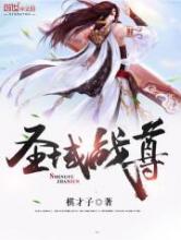 圣域战尊小说