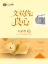 文娱的良心小说