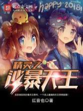 精灵之沙暴天王小说