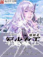 姐姐是军火女王小说