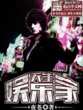 天生娱乐家小说