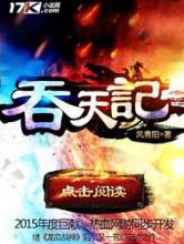吞天记小说
