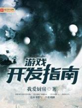 游戏开发指南小说