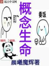 概念生命小说