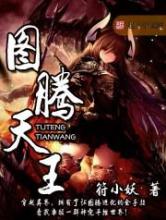 图腾天王小说