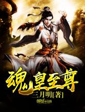 魂皇至尊小说