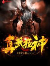 真武狂神小说