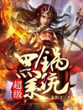 超级黑锅系统小说