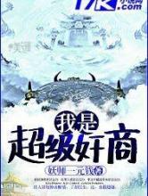 我是超级奸商小说