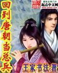 回到唐朝当总兵小说