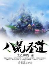 八荒圣道小说