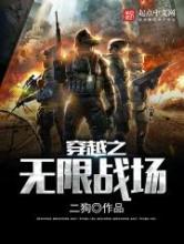 穿越之无限战场小说
