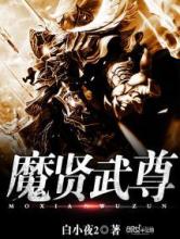魔贤武尊小说