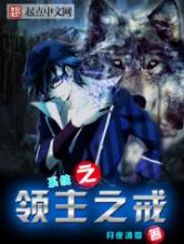 系统之领主之戒小说