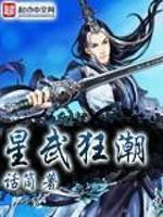 星武狂潮小说