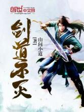 剑道不灭小说