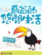 鸟爷的悠闲生活小说