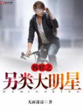 韩娱之另类大明星小说