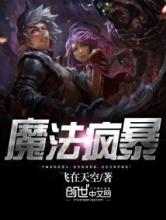 魔法疯暴小说