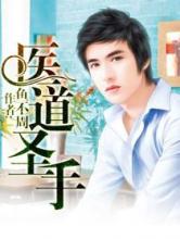 医道圣手小说