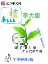 植掌大唐小说