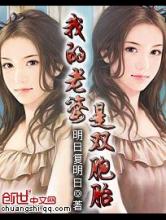 我的老婆是双胞胎小说