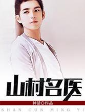 山村名医小说