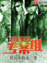 特殊事件专案组小说