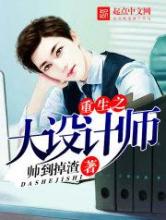 重生之大设计师小说