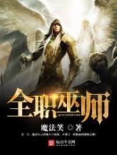 全职巫师小说