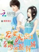 宠妻成瘾：秦少老婆很倾城小说