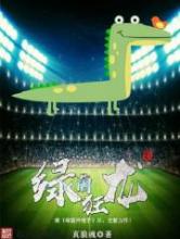 绿茵狂龙小说