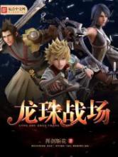 龙珠战场小说