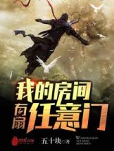 我的房间有扇任意门小说