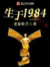 生于1984小说