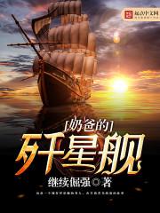 奶爸的歼星舰小说
