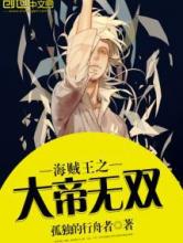 海贼王之大帝无双小说