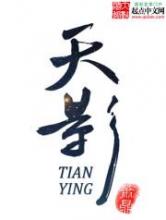 天影小说