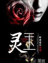 灵玉小说